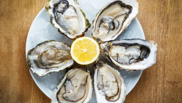 Oysters